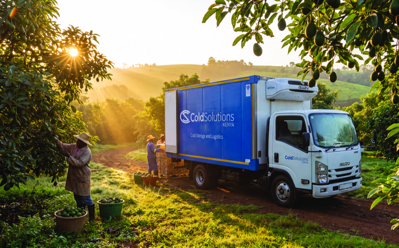 Avocado harvest loaded onto a Cold Solutions truck at the farm